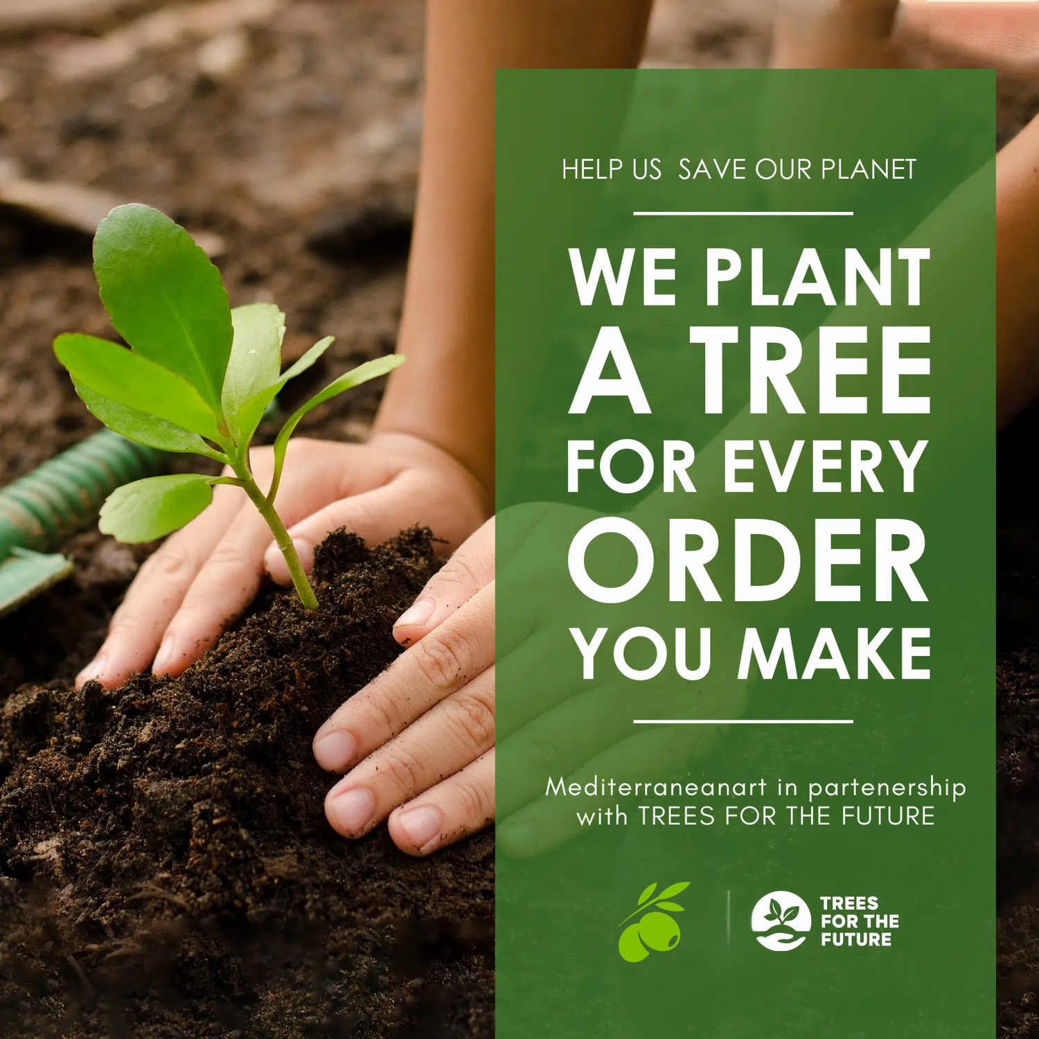 Für jede Bestellung pflanzen wir einen Baum – nachhaltige Olivenholz-Produkte von MediterraneanArt

