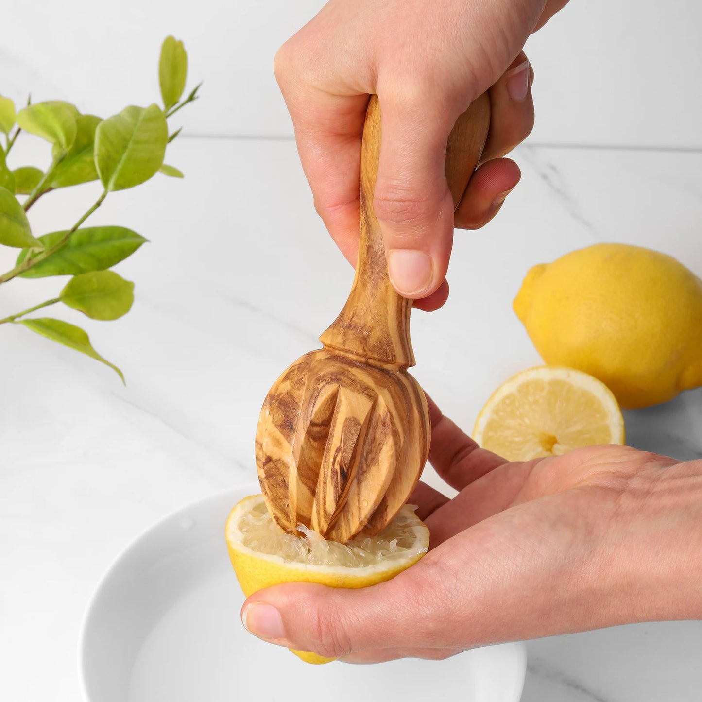Nachhaltige Zitronenpresse aus massivem Olivenholz

